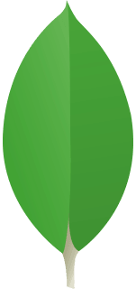 MongoDB and other NoSQL databases